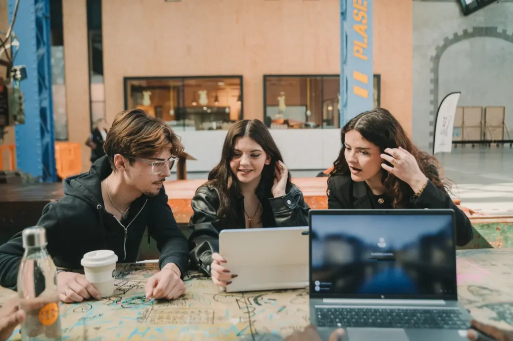 bachelor management brest